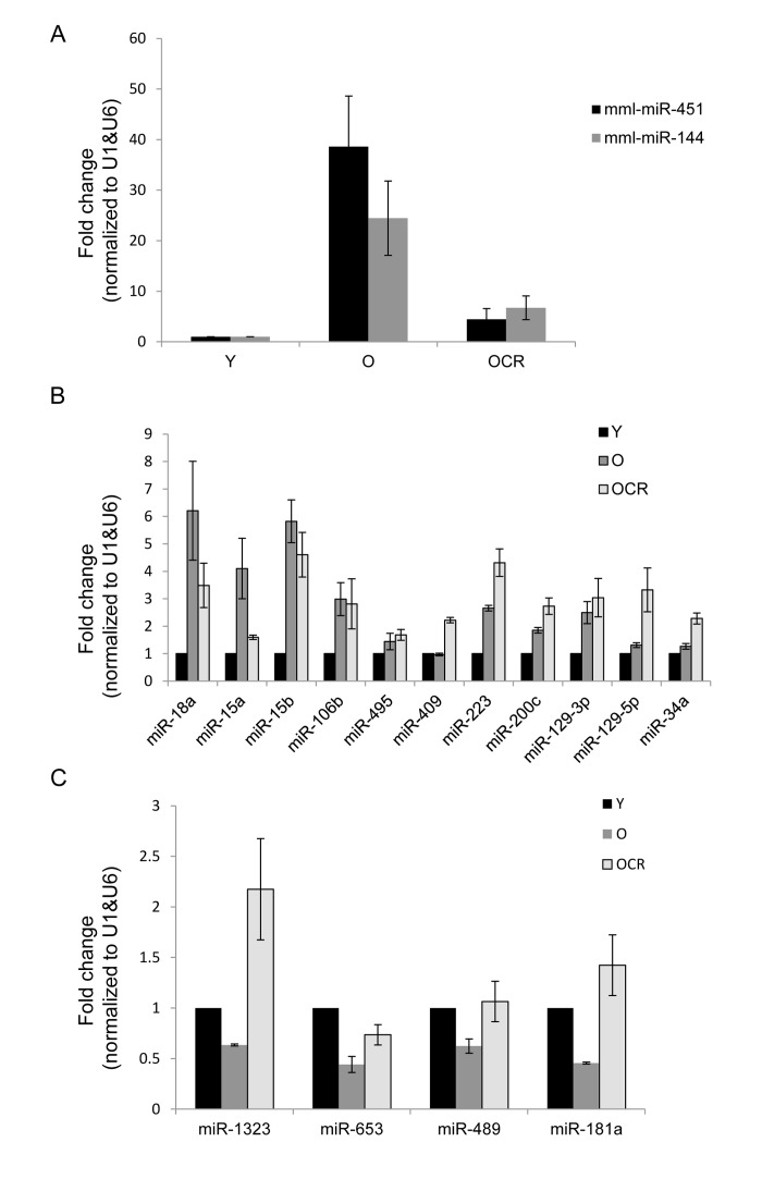 Validation of age-associated miRNA alterations and impact of CR