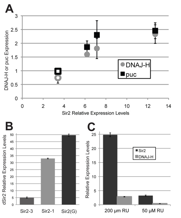 High levels of dSir2 induce both puc phosphatase and dnaJ-H expression, but lower levels of dSir2 expression do not