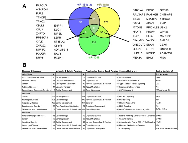 Predicted targets and pathways for the indicated age-associated miRNAs