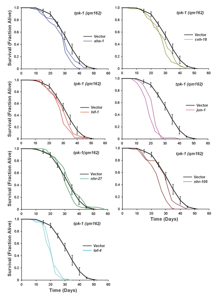 Six Transcription Factors Required for isp-1(qm150) Life Extension are also Required for tpk-1(qm162) Life Extension