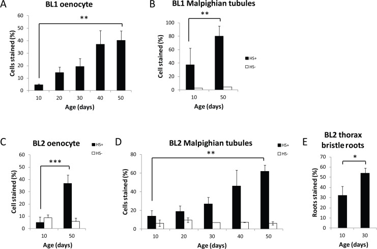 Age-related loss of gene silencing in heterochromatin regions