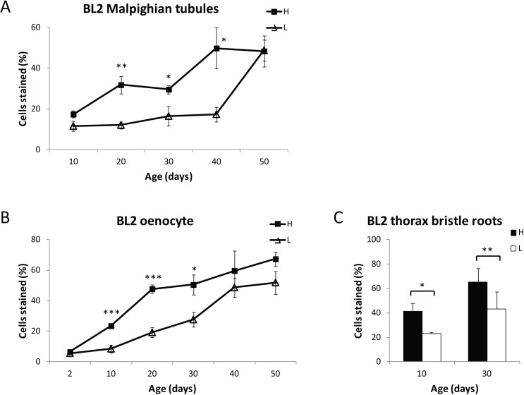 Dietary restriction delays age-related loss of gene silencing