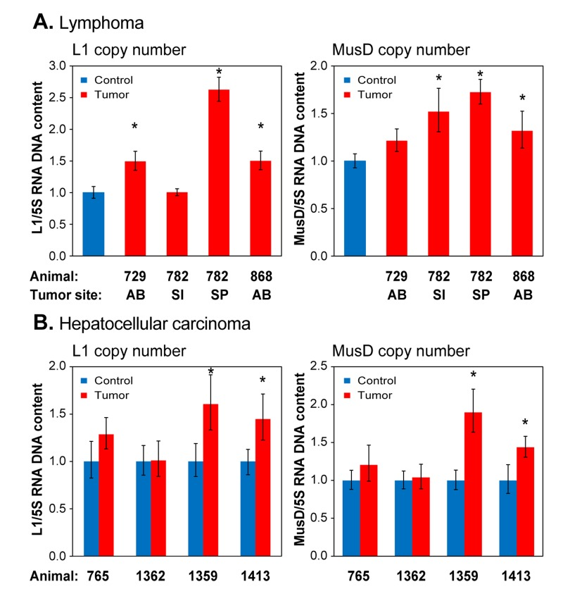 qPCR analysis of DNA to assess RTE genome copy number in spontaneously occurring tumors