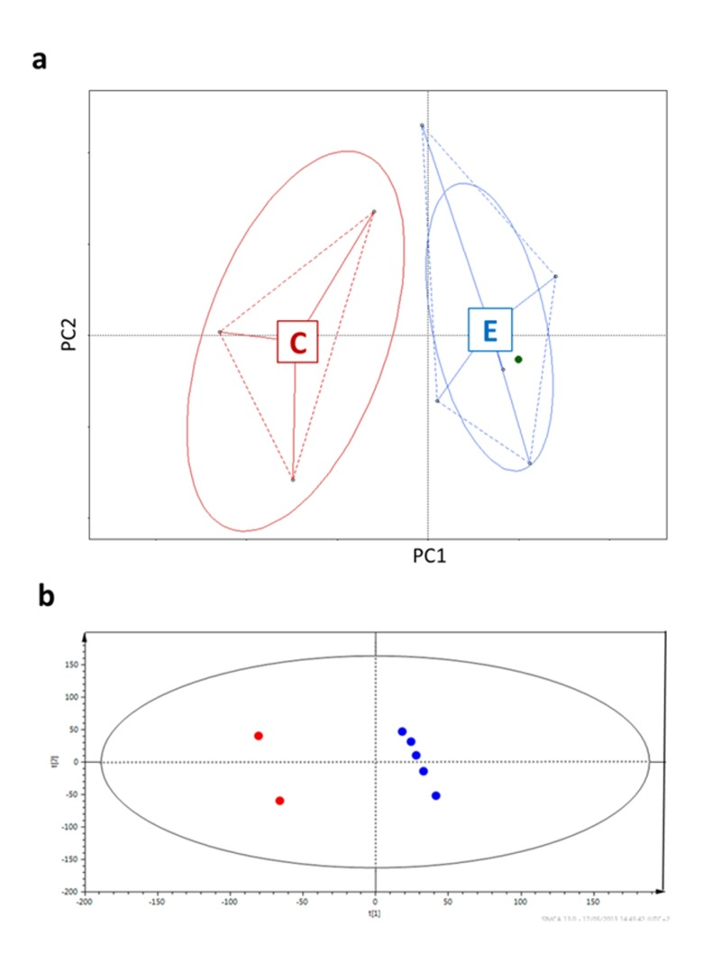 class="figure-viewer-img"