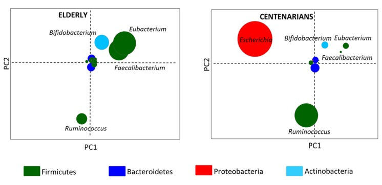 Taxonomic fingerprint of ageing