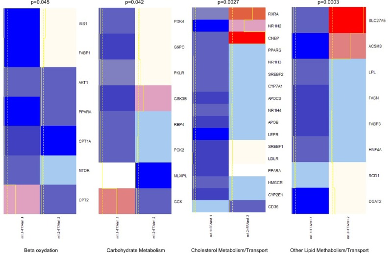 Heatmap and clusters of gene expression of Hepa1-6 cells overexpressing macroH2A1.1 (m1.1) or macroH2A1.2 (m1.2) and treated with FFA. Results are expressed as ratio of FFA-treated versus untreated cells. Optimal clusters have been computed by the pvclust method. Results were grouped in four functional processes (carbohydrate metabolism, beta-oxidation, lipid metabolism, cholesterol transport). Significance levels have been calculated via multiscale bootstrap resampling. The lower p-value of a cluster, the stronger the support of the data for the cluster. Expression levels are represented in a color scale from blue (low expressed) to red (highly expressed) (top left).