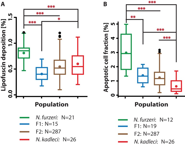 LFD and ACF in hybrids compared with N. furzeri GRZ and N. kadleci