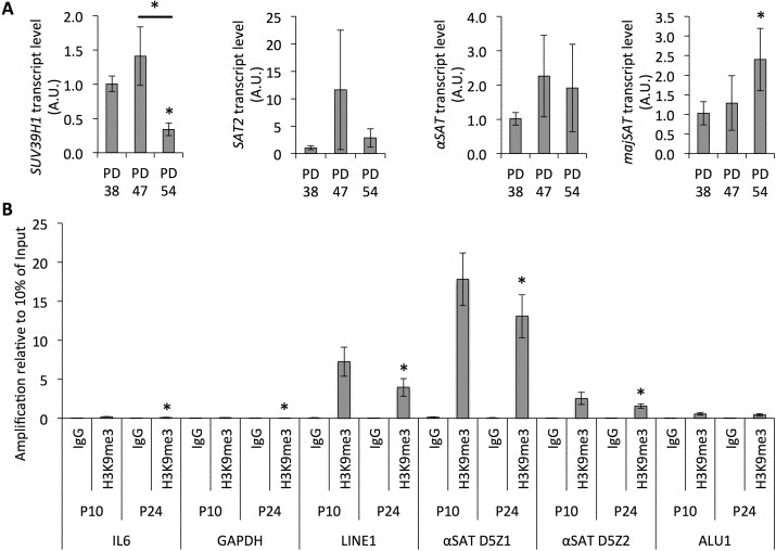 Senescence-dependent increase in satellite expression correlates with the loss of H3K9 trimethylation from those sequences