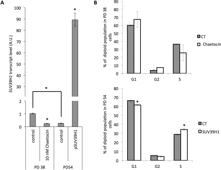 Modification of SUV39H1 expression levels affects cell cycle distribution