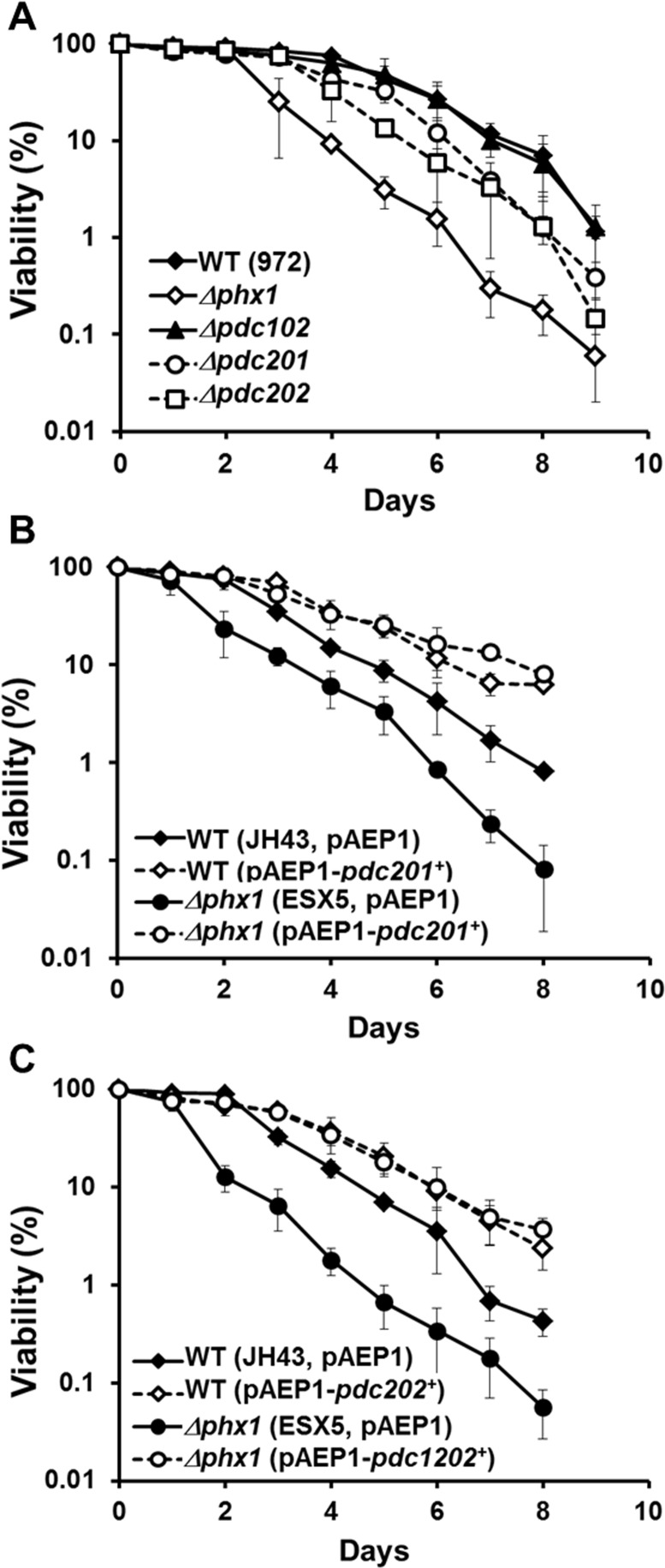 Pdc201 and Pdc202 contribute to long-term survival