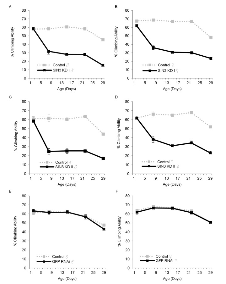 Sin3A knockdown (KD) affects locomotor function