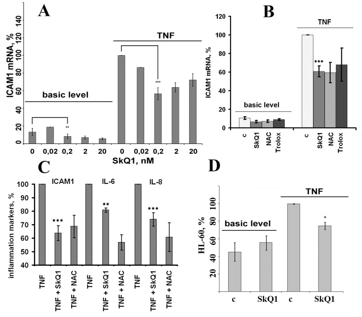 Antioxidants (0.2 nM SkQ1, 1 mM NAC, 200 μM Trolox) prevent TNF-induced activation of EA.hy926 endothelial cells