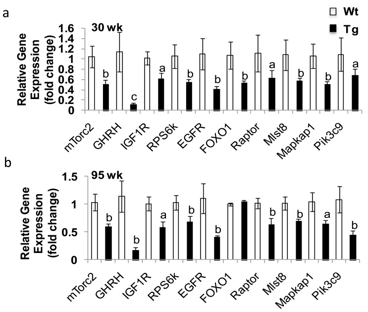 Gene validation from microarray results