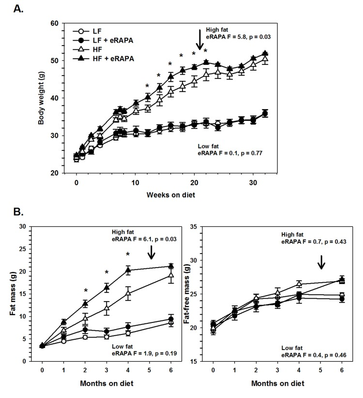 (A) Body weight of C57BL/6 males fed low fat (circles) or high fat (triangles) diets either with (solid) or without (open) encapsulated rapamycin (eRAPA). (B) Total fat content (left) and fat-free content (right) of mice in A. For all, symbols represent average (± SEM) values for n=6 mice. Downward arrow indicates time point of cessation of eRAPA treatment. F and p values given for repeated measures ANOVA testing the effect of eRAPA for the indicated diet. Asterisks indicate significant difference at time point between eRAPA and control for given diet from post-hoc analysis of ANOVA.