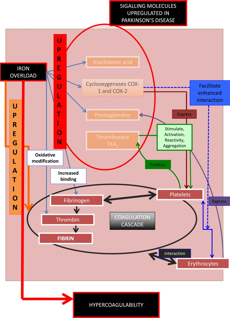 Signalling molecules, their role in the coagulation and hematological system, and their involvement in Parkinson's disease.