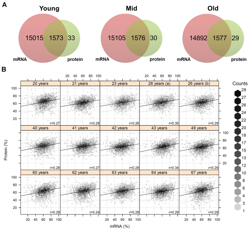 Coverage and correlation of mRNA and protein data