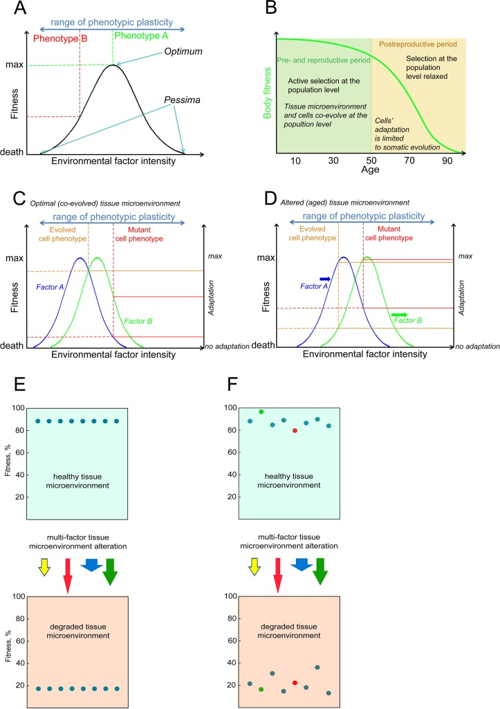 A schemata of a phenotype's fitness/survival determination in a complex environment