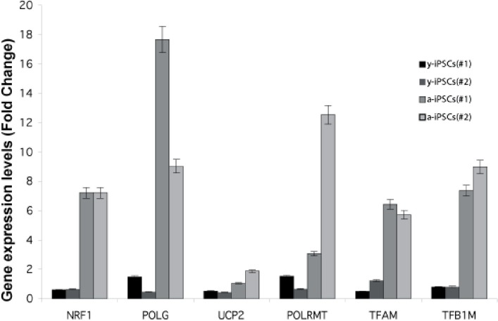 Gene expression analysis of genes relevant to mitochondrial biogenesis in young and aged-iPSCs at day 0