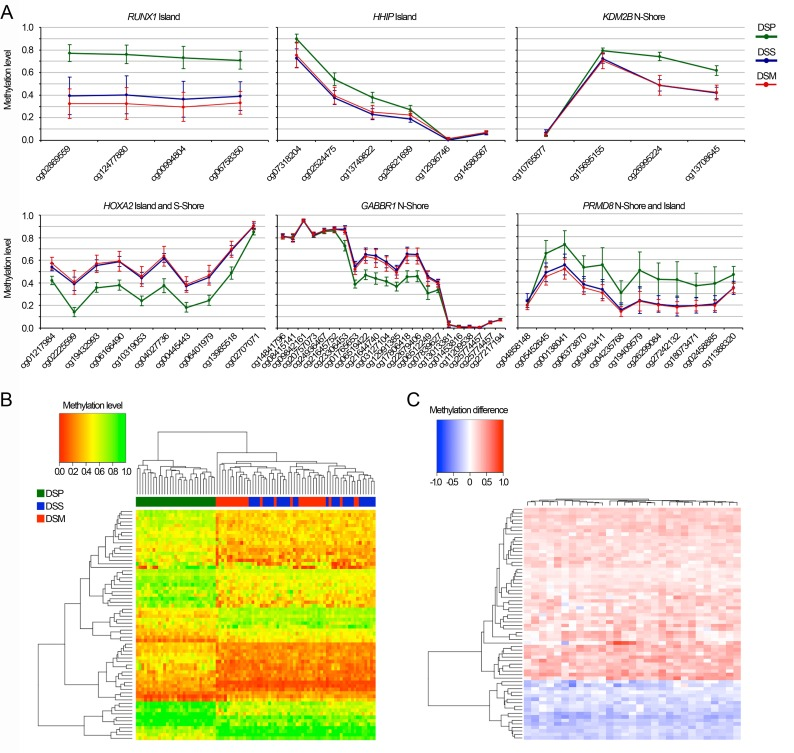 Epigenetic signature of Down Syndrome