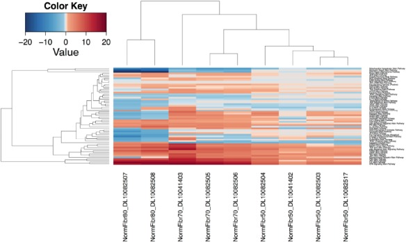 Unsupervised hierarchical clustering heat map of signaling pathways for dataset E-MTAB-2086. Up- and down-regulated pathways are depicted in red and blue color, respectively. The first two clustered samples on the left-hand side of schematic represent the cells with maximum passages of eighty, then follow three samples that underwent 70 passages and four samples grown for 50 passages.