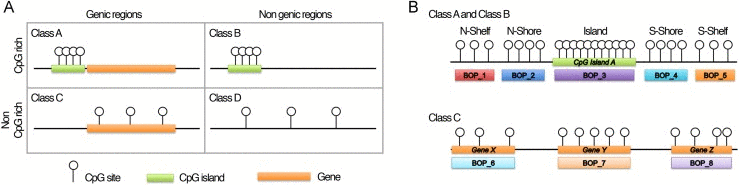 Infinium 450k probes classification and BOPs definition