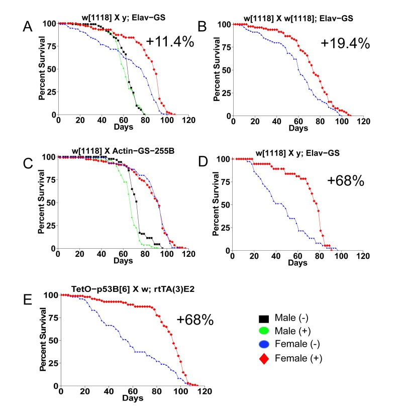 Mifepristone life span increase depends on sex and genotype