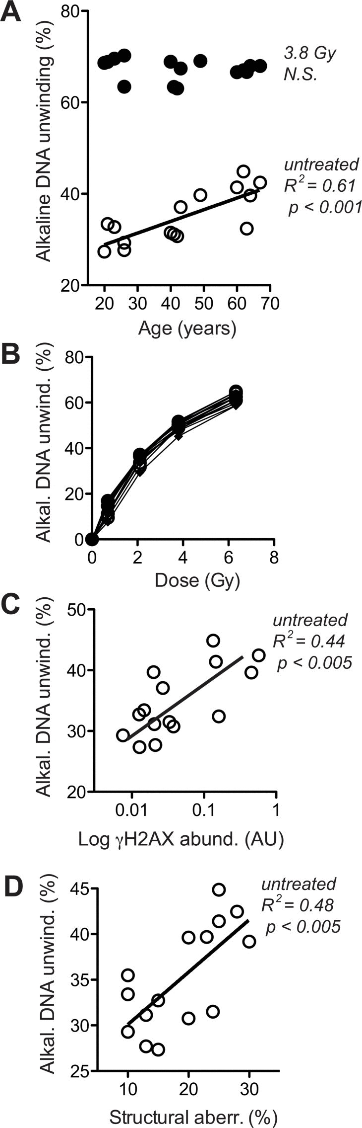 Levels of DNA strand breaks at base line and following IR exposure