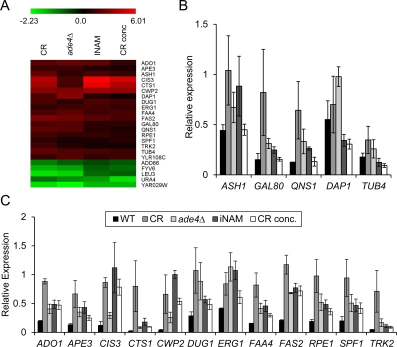 Comparative microarray analysis reveals potential biomarkers of CLS