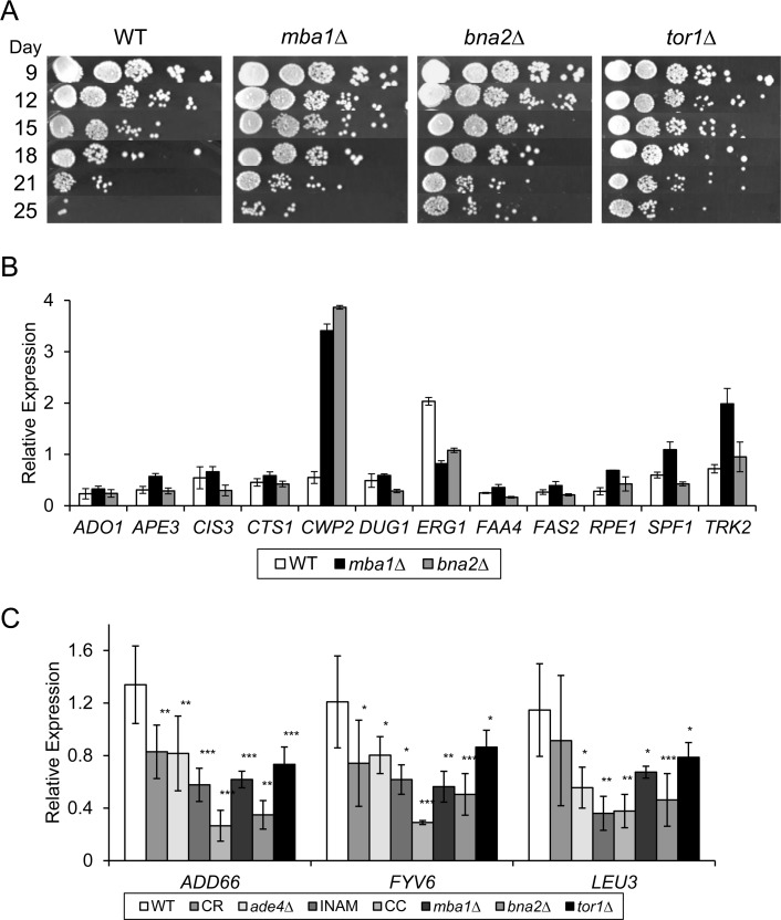 Testing efficacy of putative gene expression CLS extension biomarkers