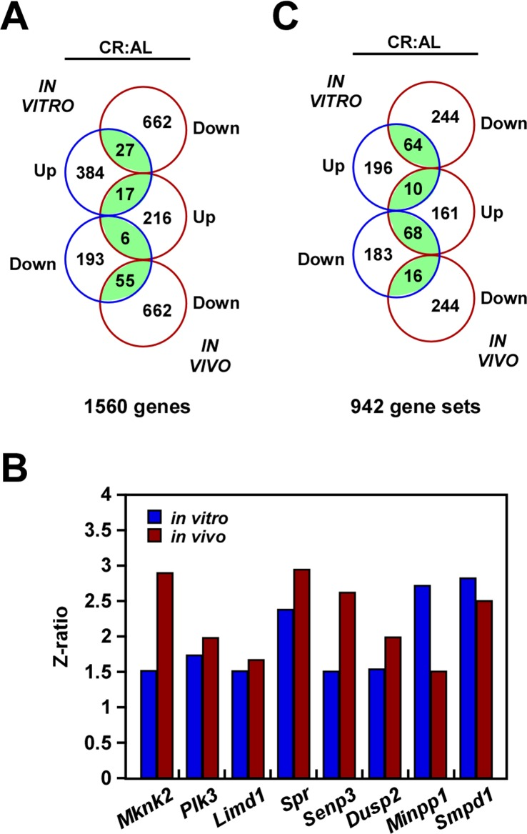 Gene expression profiling in response to caloric restriction