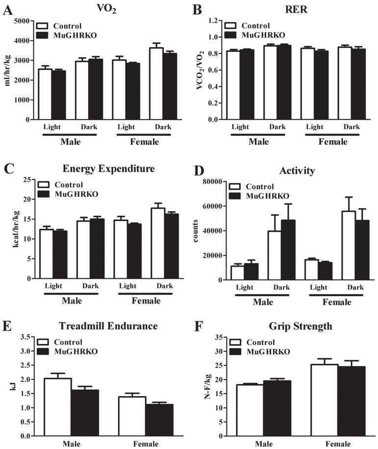 Indirect calorimetry, endurance, and grip strength