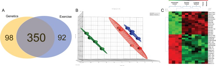 Transcriptional changes induced by exercise training and by selective breeding for longevity are highly overlapping