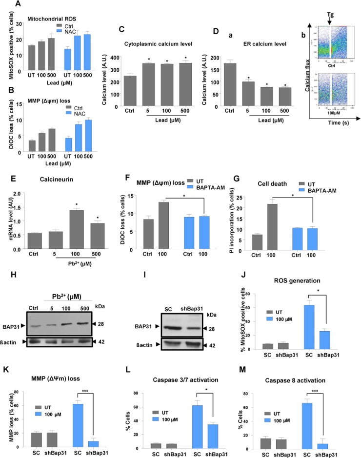 Lead treatment causes a disruption of cellular calcium balance