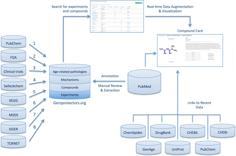 Illustration depicting the content, data sources, and user-directed flow of <a href="http://Geroprotectors.org" target="