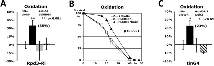 Only heart-specific Rpd3 downregulation enhances stress resistance