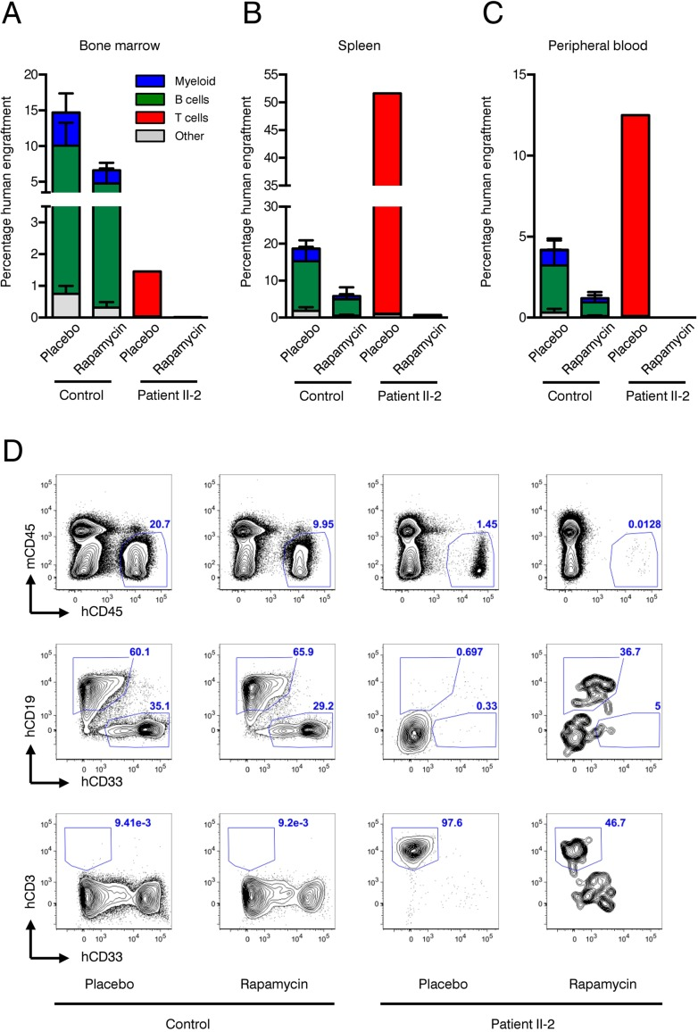 Xenotransplantation experiments