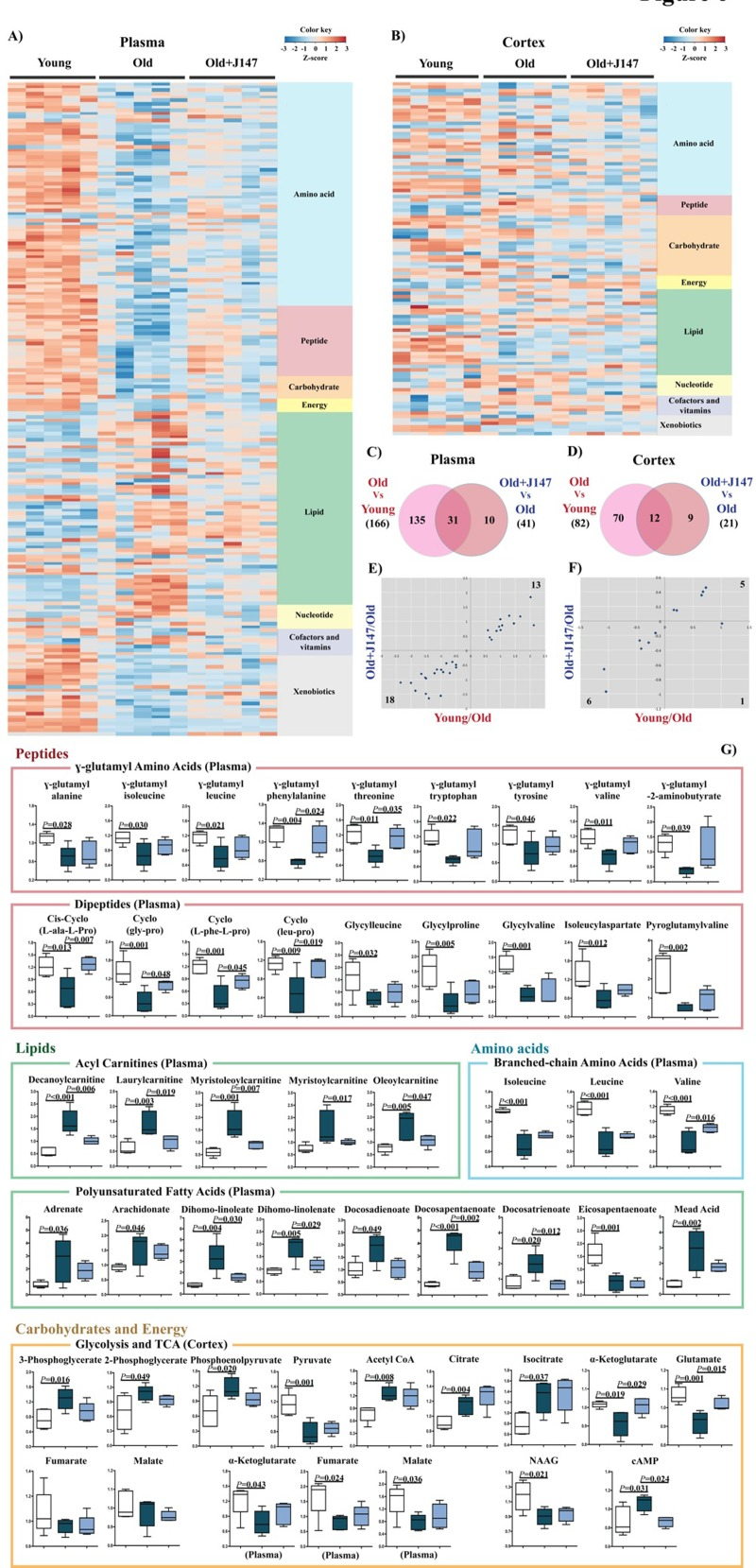 Metabolomic analysis of plasma and cortex demonstrate that alterations in biological pathways between young SAMP8 and old SAMP8 mice are partially rescued by J147