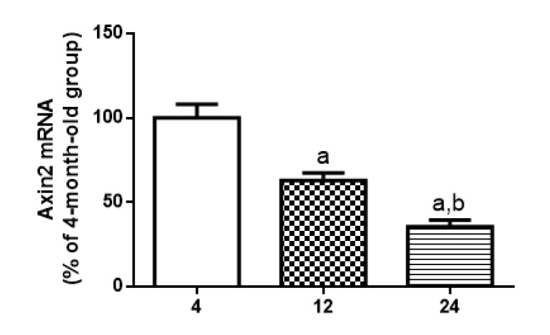 Age-related changes in Axin2 mRNA levels in hippocampus of 4-, 12- and 24-month-old rats