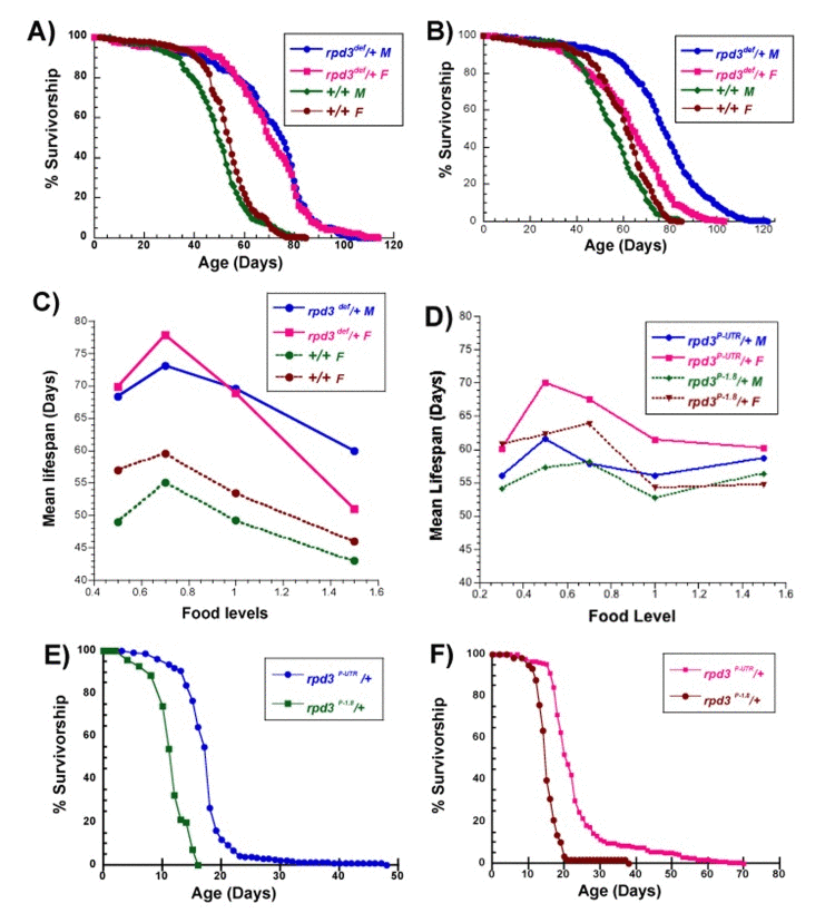 Longevity of rpd3 heterozygous mutant flies