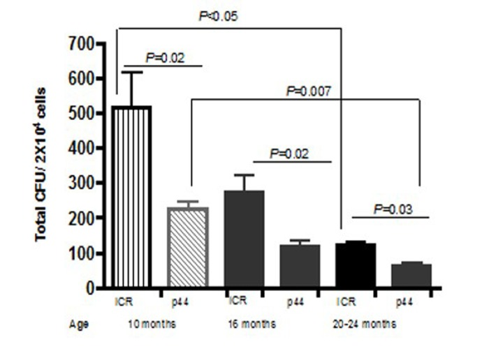 Total CFU decrease as mice age