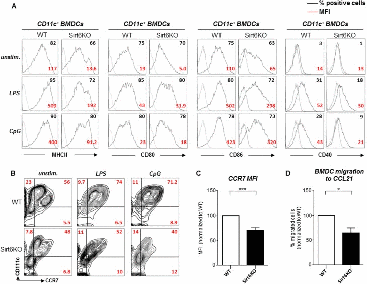 Sirt6KO BMDCs show impaired maturation and CCR7 expression in response to TLR ligands