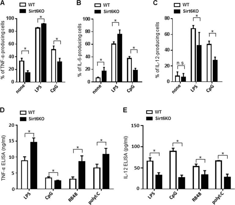 Sirt6 deletion skews cytokine production in BMDCs