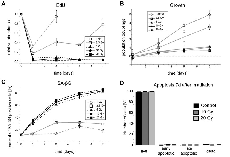 Time series for G1-S arrest and senescence for different γ-irradiation regimes in MRC5 fibroblasts. (A) Relative abundance of EdU positive cells (mean ± SEM (n≥3)). (B) Population doublings (mean ± SEM for at least three independent cell counts with >100 cells each) (C) SA-βG activity (mean ± SEM (n=3)). (D) Percentage of live cells (negative for both Annexin V and propidium iodide (PI), early apoptotic cells (positive for Annexin V and negative for PI), late apoptotic/necrotic cells (positive for both Annexin V and PI) and dead cells (negative for Annexin V and positive for PI (mean ± SE (n=3)). Representative FACS scatter plots for EdU and SA-βG measurements are shown in Figure S5.