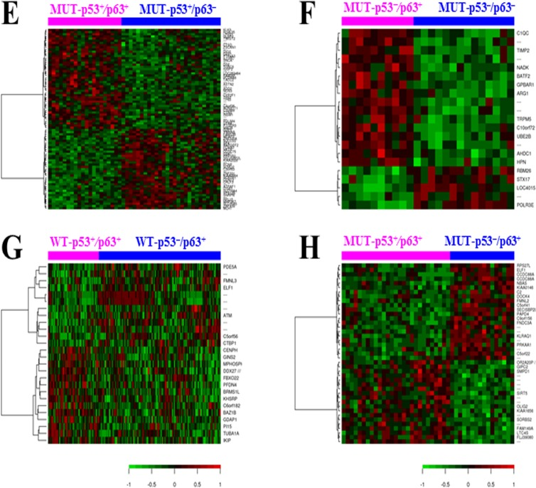 Gene expression profiling analysis