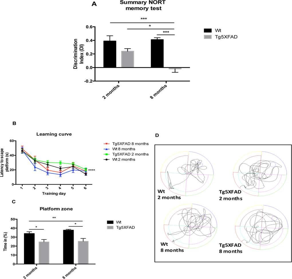 Results of Discrimination index of NORT in female mice aged 2 and 8 months (Wt and 5XFAD) (A). Learning curves during MWM trials (B), Percentage of time spent in platform zone during 60 sec probe trial of the MWM test (C), Representative swim paths from the memory day test on day 7 (D). Data represented as observed mean ± Standard Error of the Mean (SEM) (n = 10 for each group). *p