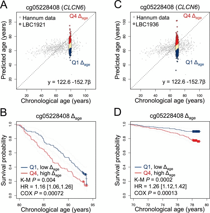 A CpG site in CLCN6 is indicative for survival in LBC1921 and LBC1936