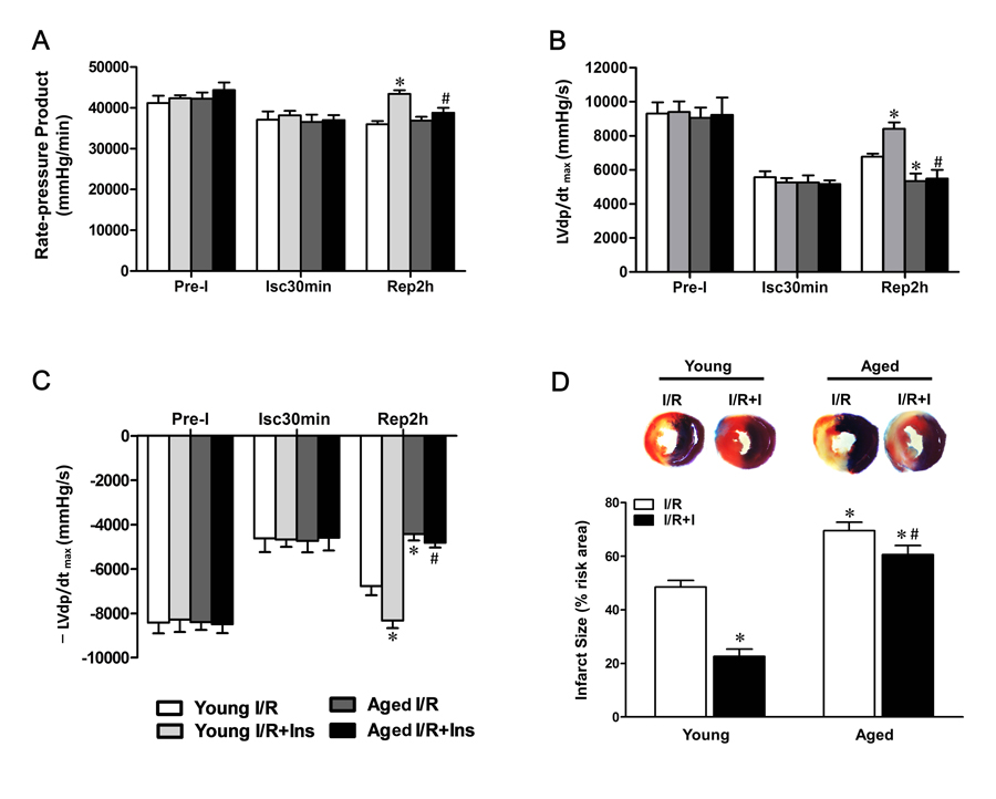 Impaired cardioprotection of insulin against MI/R injury in aged hearts