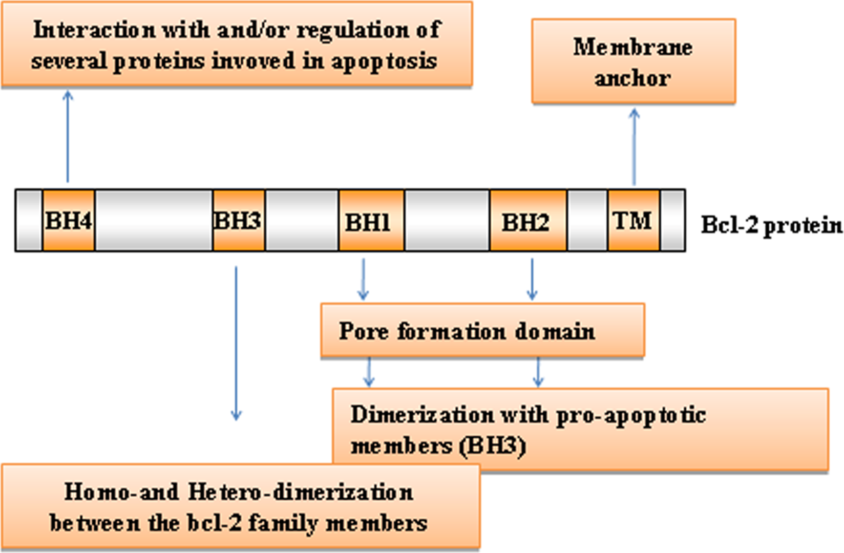 class="figure-viewer-img"