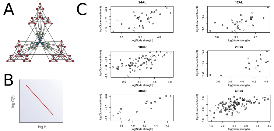 Node strength plotted against clustering coefficient to assess hierarchical topology