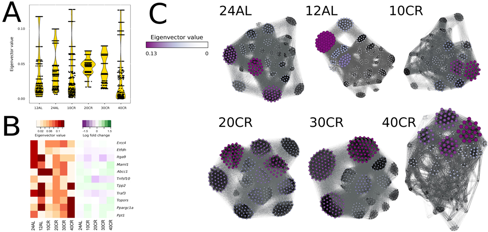 Node centrality was identified by calculating the eigenvector value for each gene in each conditional mutual information (CMI) network